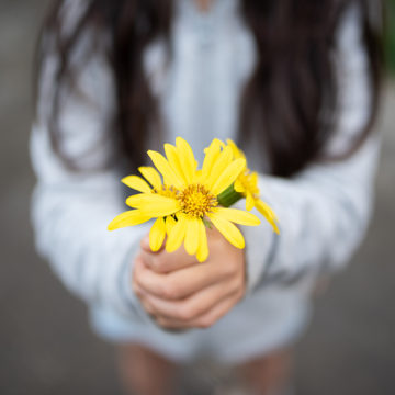 COMPLIMENTS TO BRIGHTEN