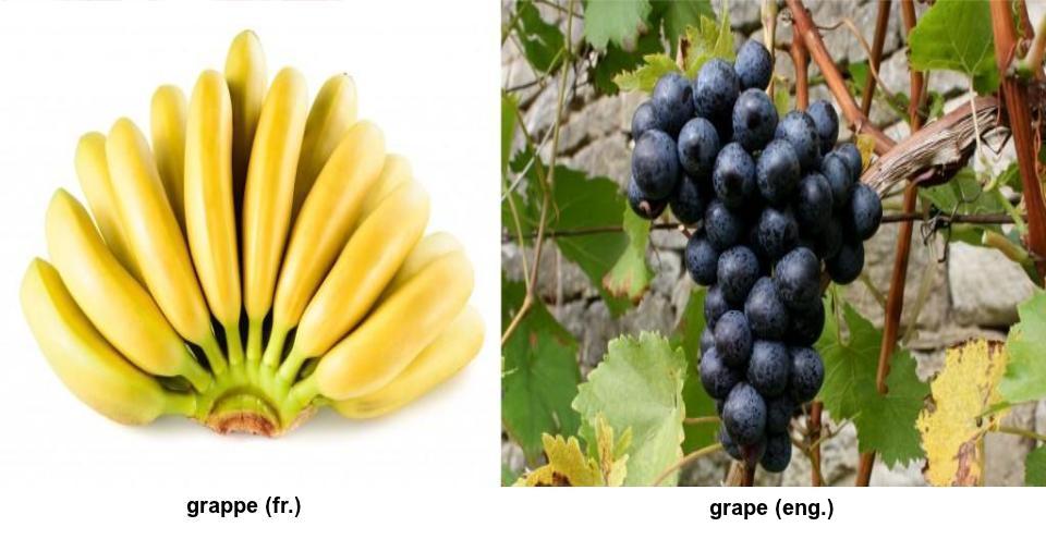 20 Common French False Friends to Watch Out For