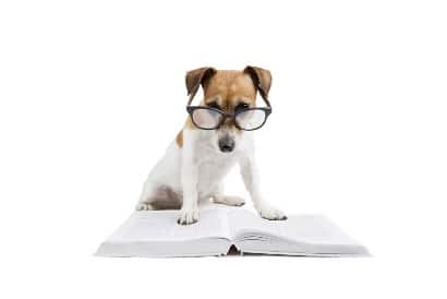 5 Smart Steps for Learning to Read in French