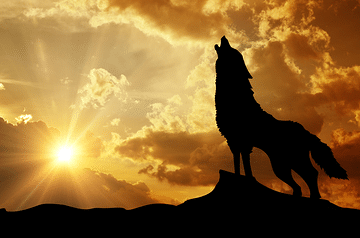 Lone Wolfing French 9 Essentials to Learn French on Your Own Lone Wolfing French 9 Essentials to Learn French on Your Own