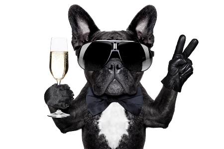 Why Learn French 5 Reasons It’s an Even Better Idea Than You Thought