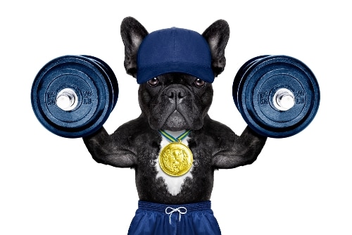 10 Powerful Sites for the Best Advanced French Lessons Online