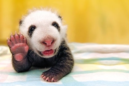 10 Useful French Greetings and Salutations for French Learners