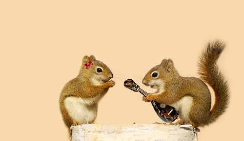 How to Master French Gender Rules in a Nutshell