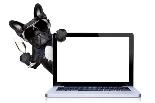 6 Online News Destinations That Intermediate French Learners Will Love