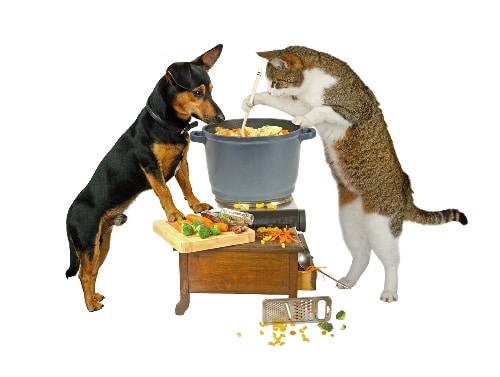funny-french-sayings 5 Funny Sayings for Cooking Up a Lively French Conversation