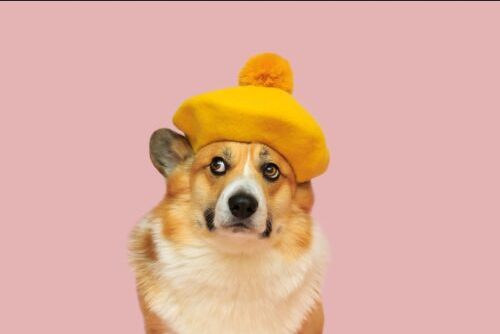 Oh là là ! 10 French Exclamations to Add Flair to Your Conversations Oh là là ! 10 French Exclamations to Add Flair to Your Conversations